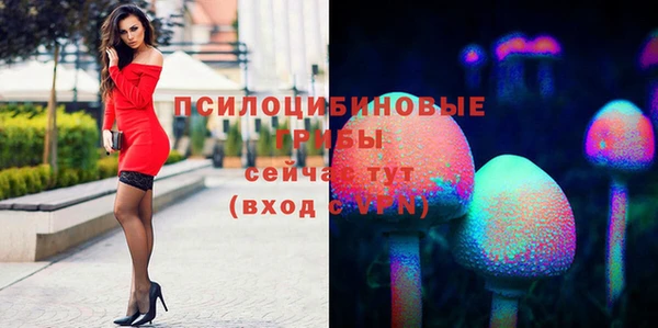 герыч Алексин