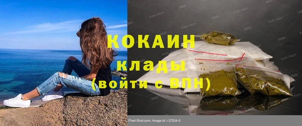 спайс Алзамай